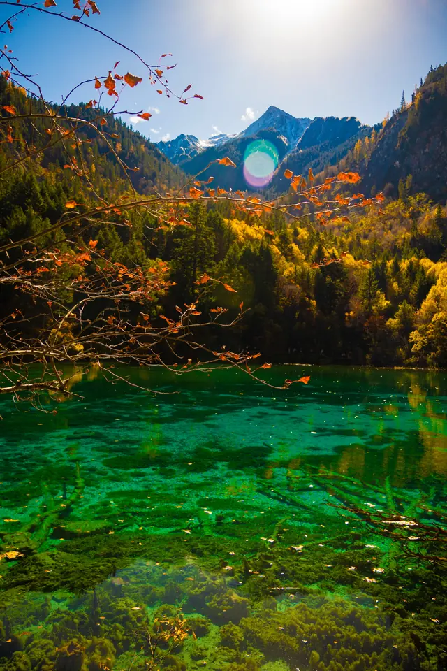 大地纪行·九寨